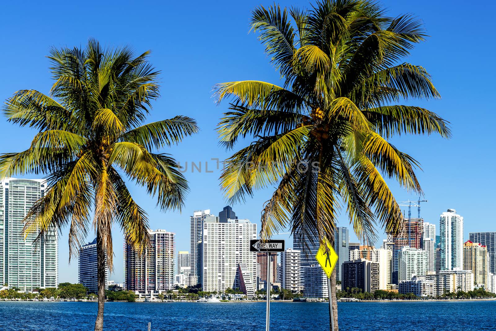 Miami Downtown skyline in daytime with Biscayne Bay.