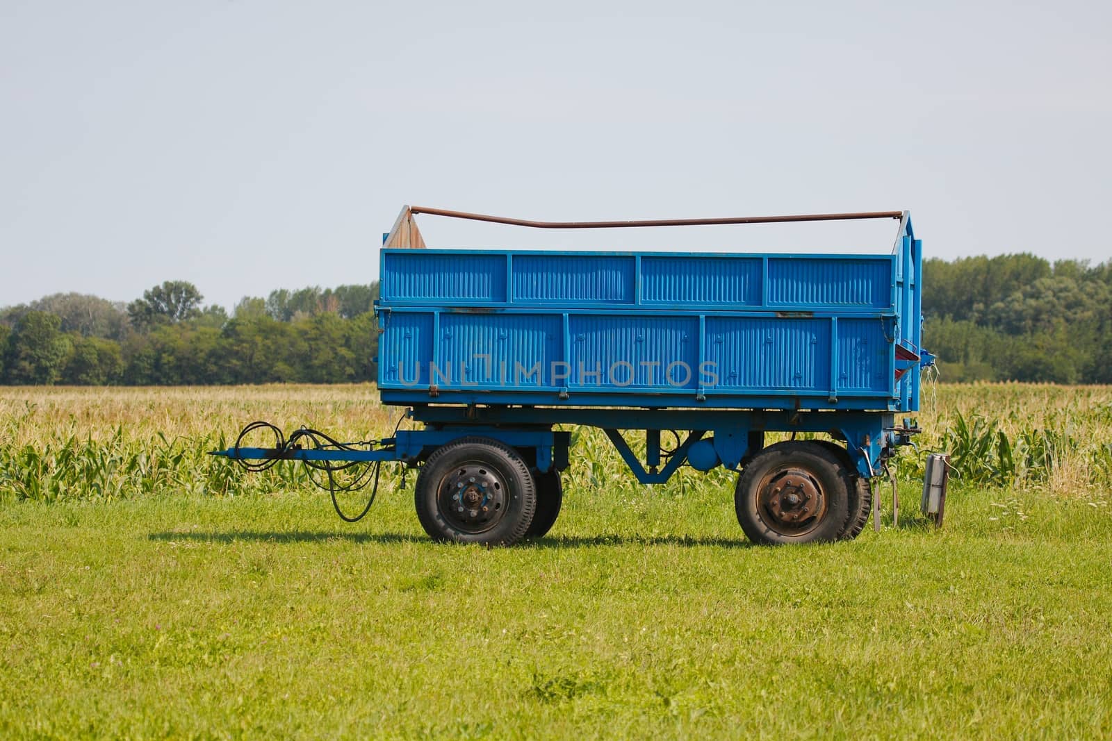 Tractor trailer on the agricultural fields