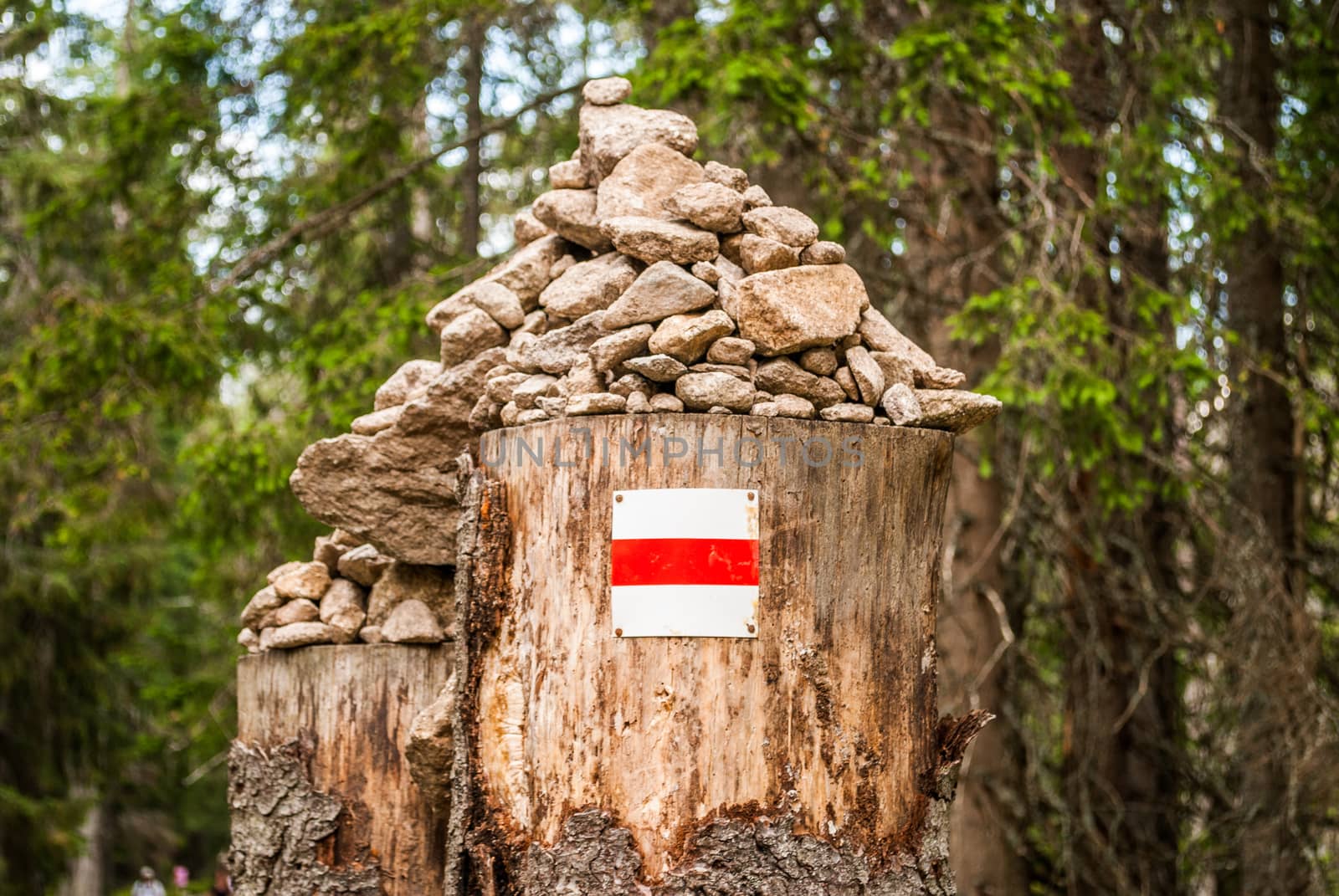 tourist mark on a stump with rocks