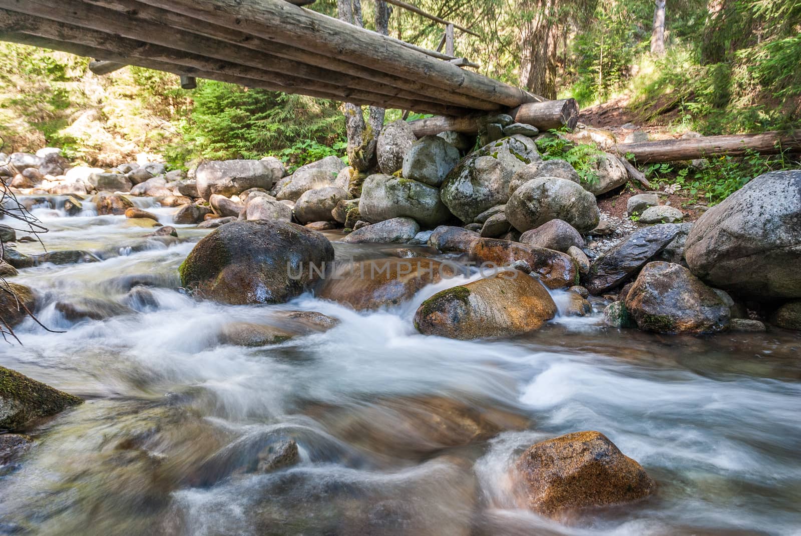 creek in the forest with the footbridge