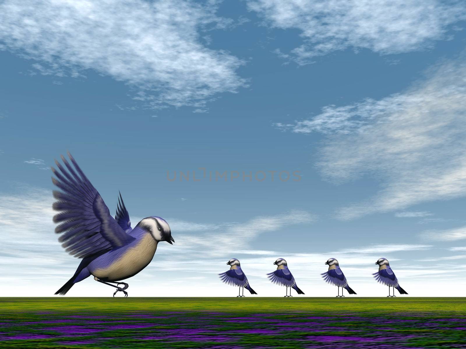Florida jay birds family - 3D render by Elenaphotos21