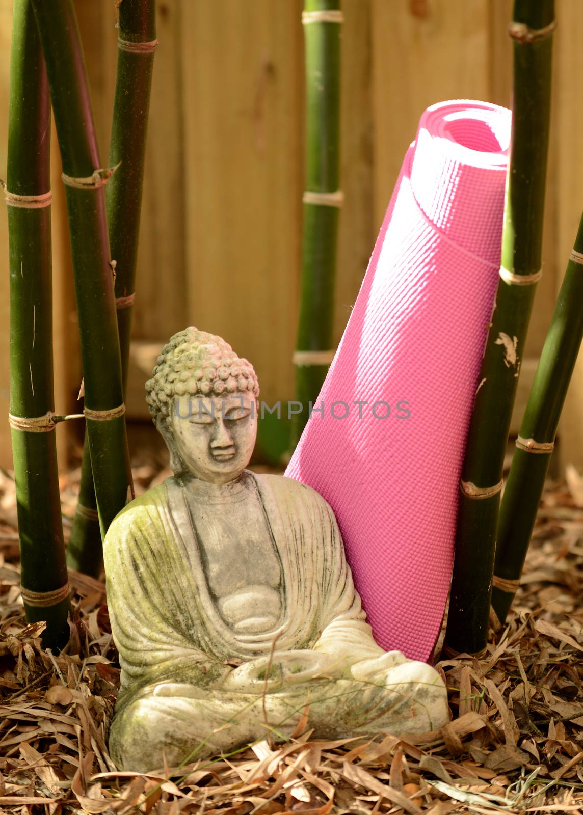 buddha statue with yoga mat outdoors near bamboo