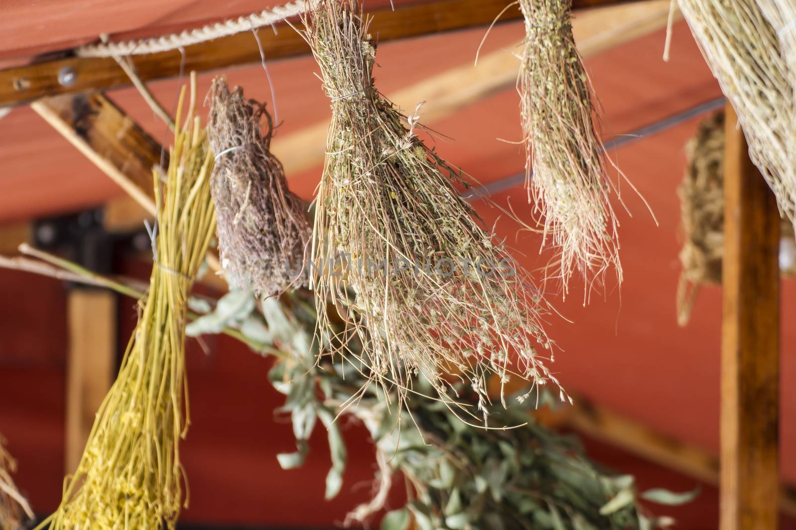 Leaf, sample herbs drying in the sun by FernandoCortes