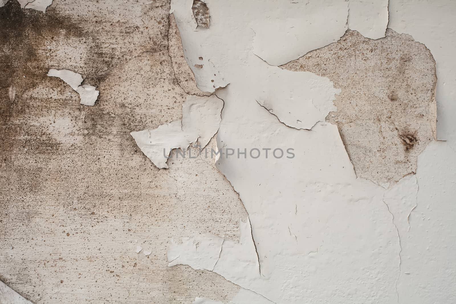 wall paint