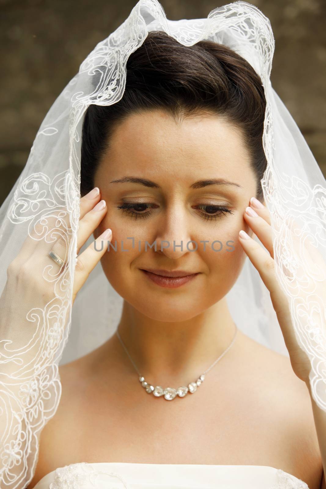 Portrait of the beautiful bride in a veil