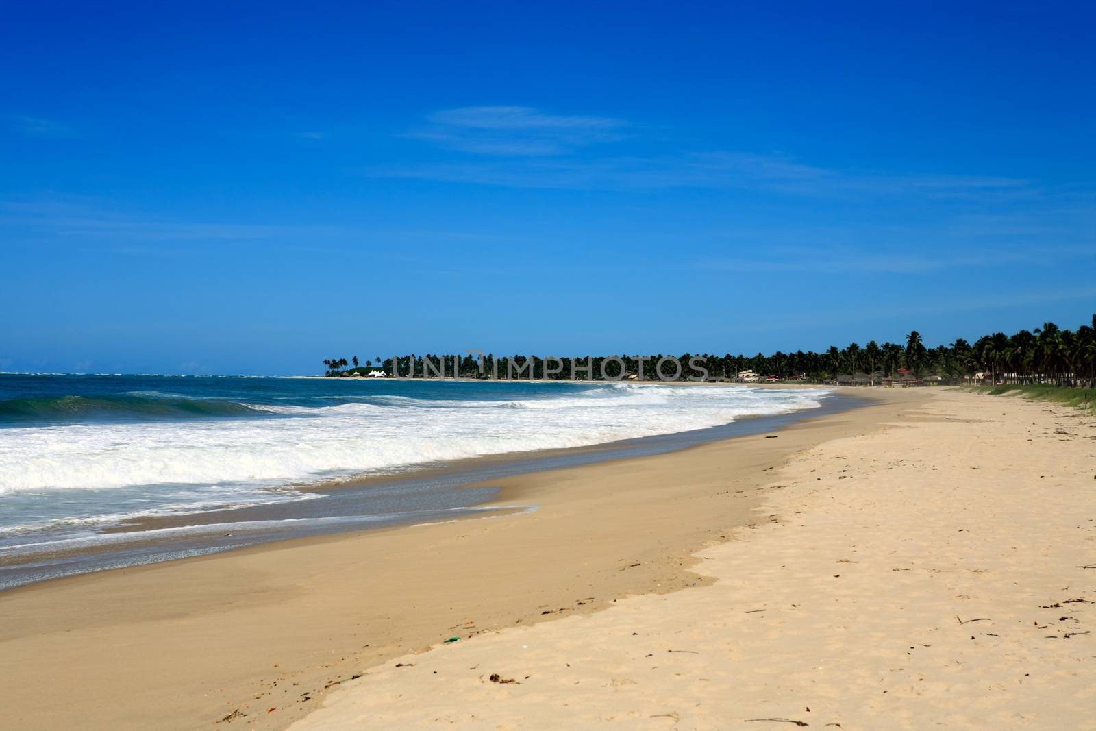beautiful beach of maracaipe near recife pernambuco state brazil