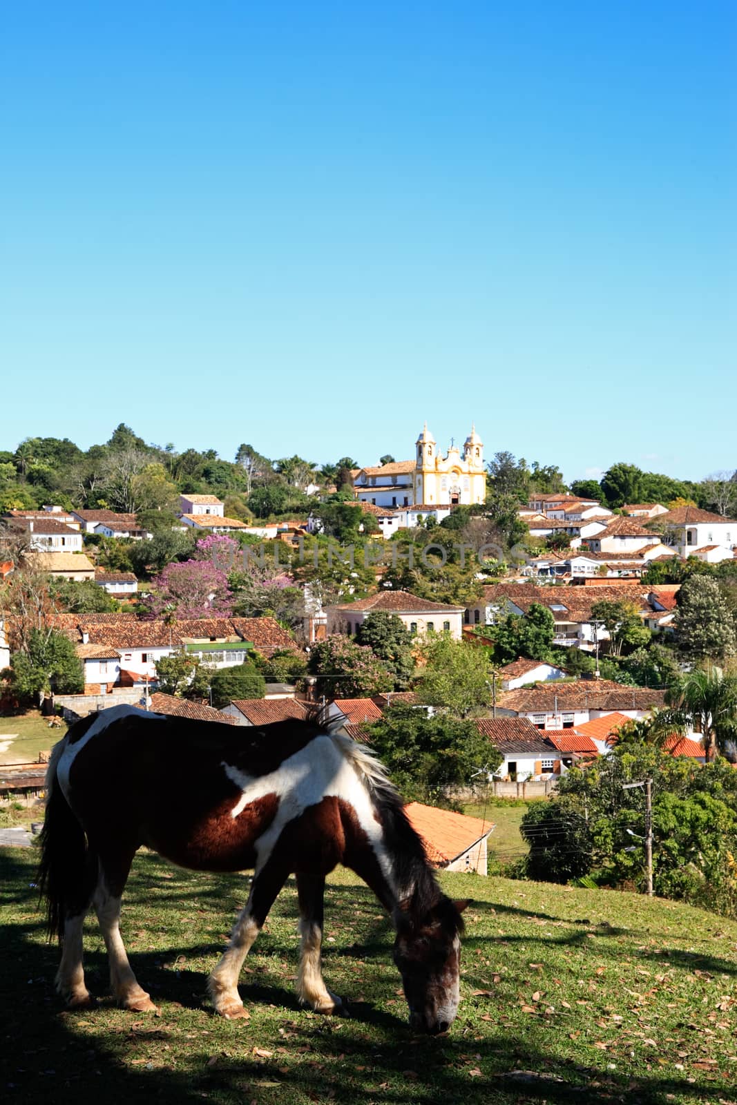 horse grazing and cityscape of the typical village of tiradente in minas gerais state in brazil