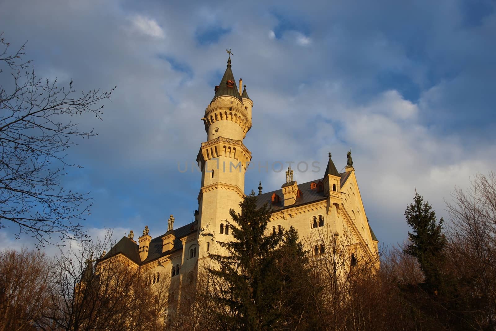 Neuschwanstein Castle is a nineteenth-century palace built by King Ludwig II, located in the mountains above the village of Hohenschwangau in southwest Bavaria, Germany.