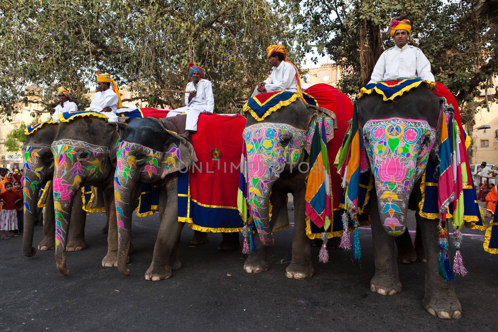 Jaipur, India - March 29, 2009: people riding elephants in the celebration of the Gangaur festival, one of the most important of the year march 29th 2009 in Jaipur, Rajasthan, India