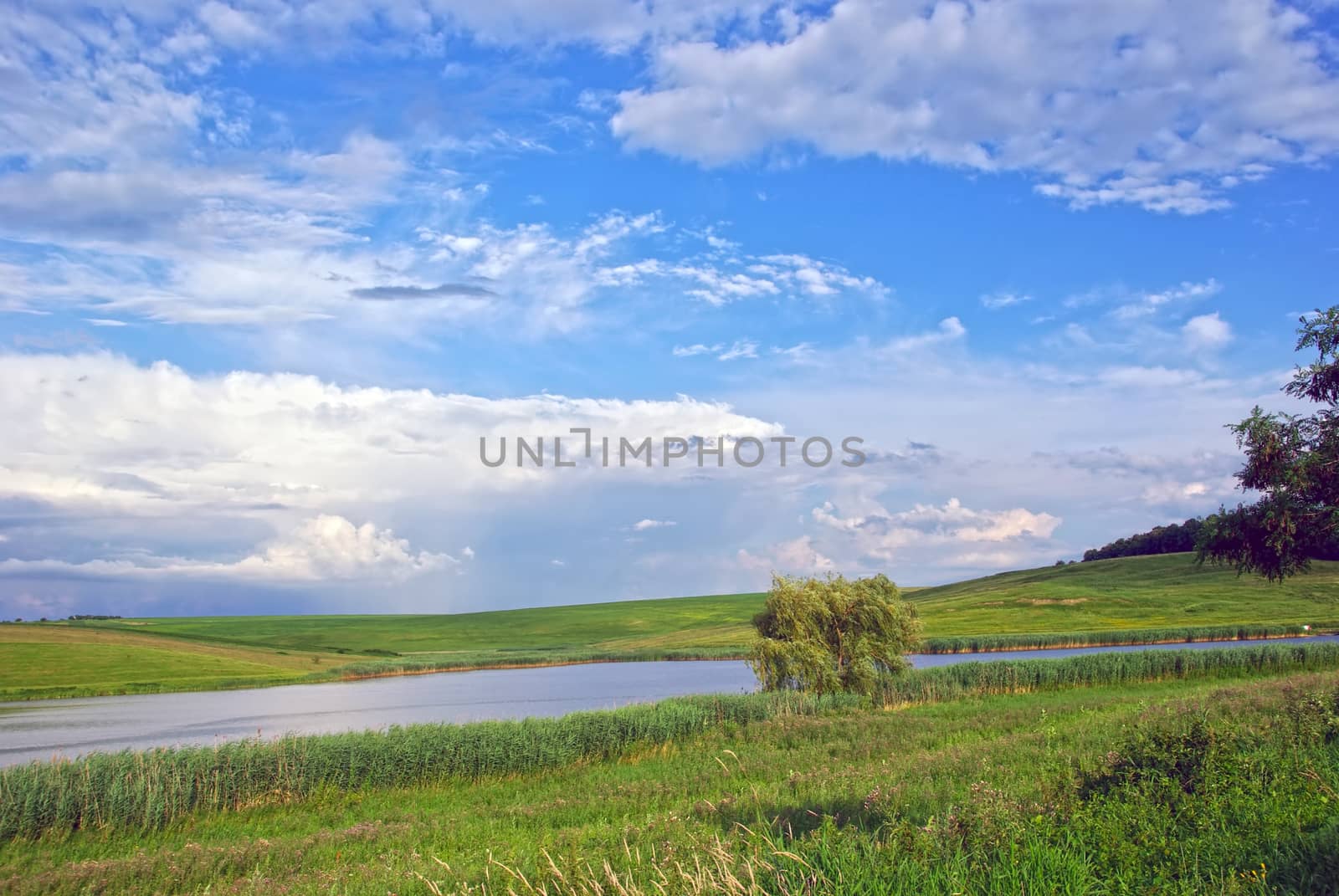 Summer landscape: lake and meadow in Romania