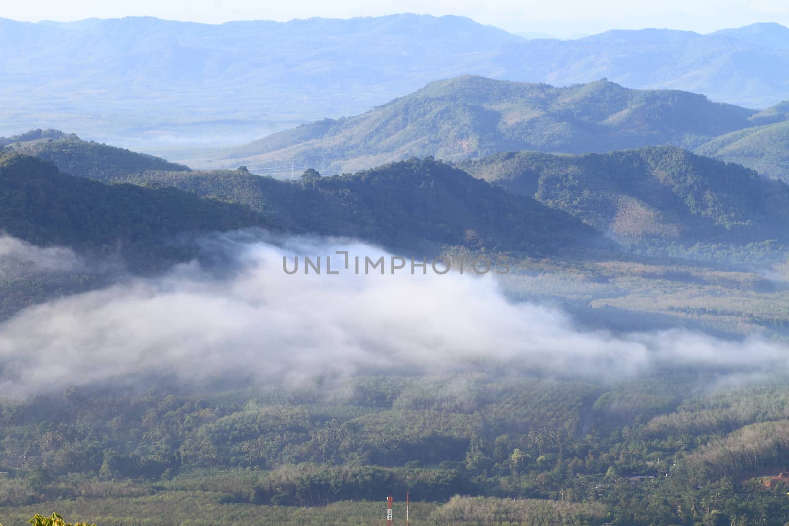 Beautiful scene of national park in southern Thailand. from view point.