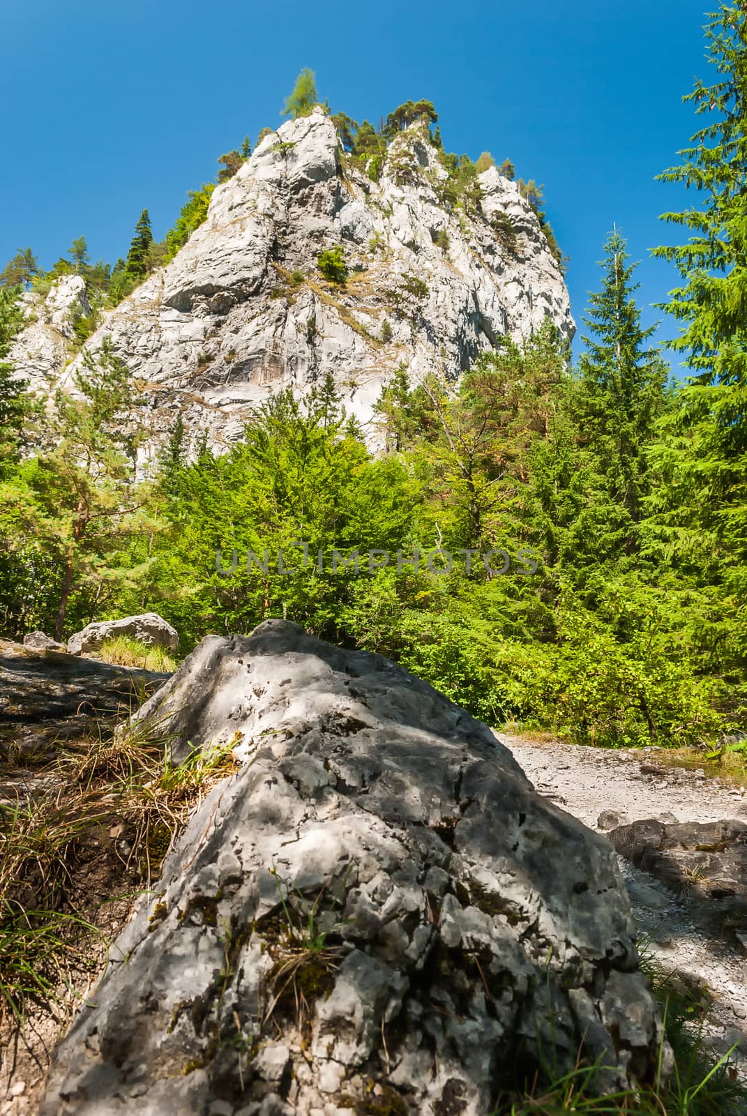 peak with forest and rock in foreground in West Tatra at sunny day