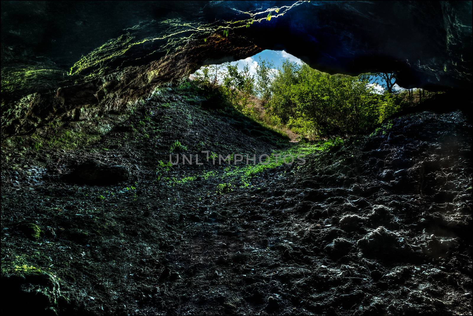 view from inside of a cave