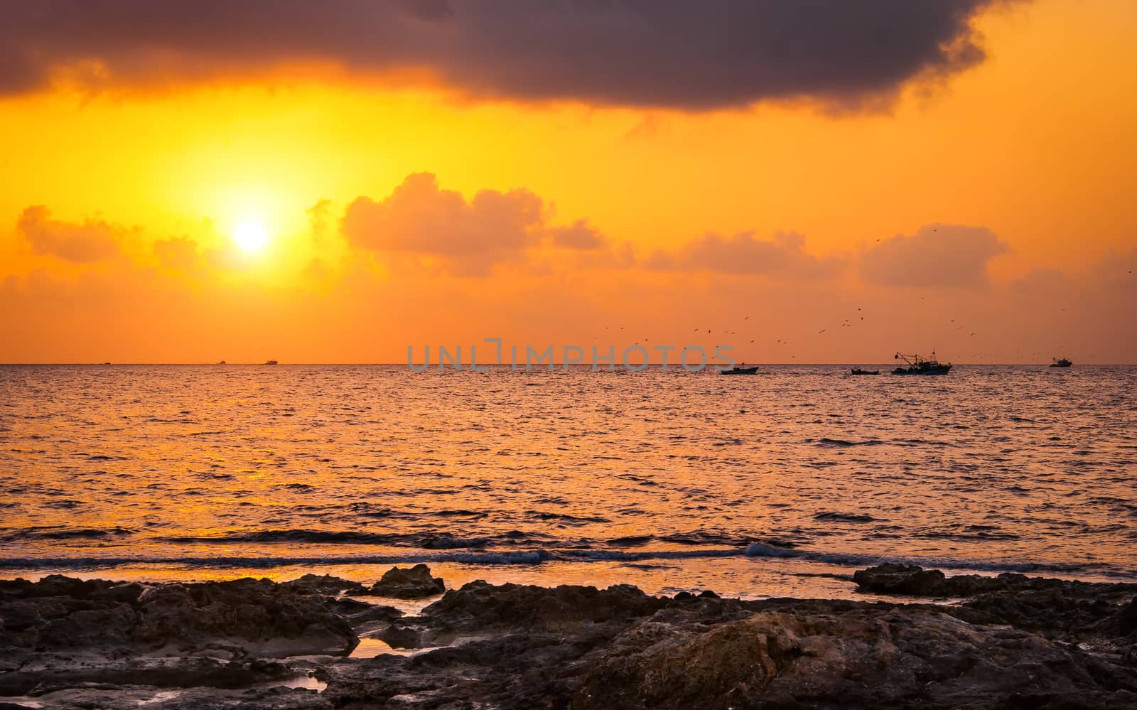 sunset over the sea and rocky coast with trawler and gaggle of birds