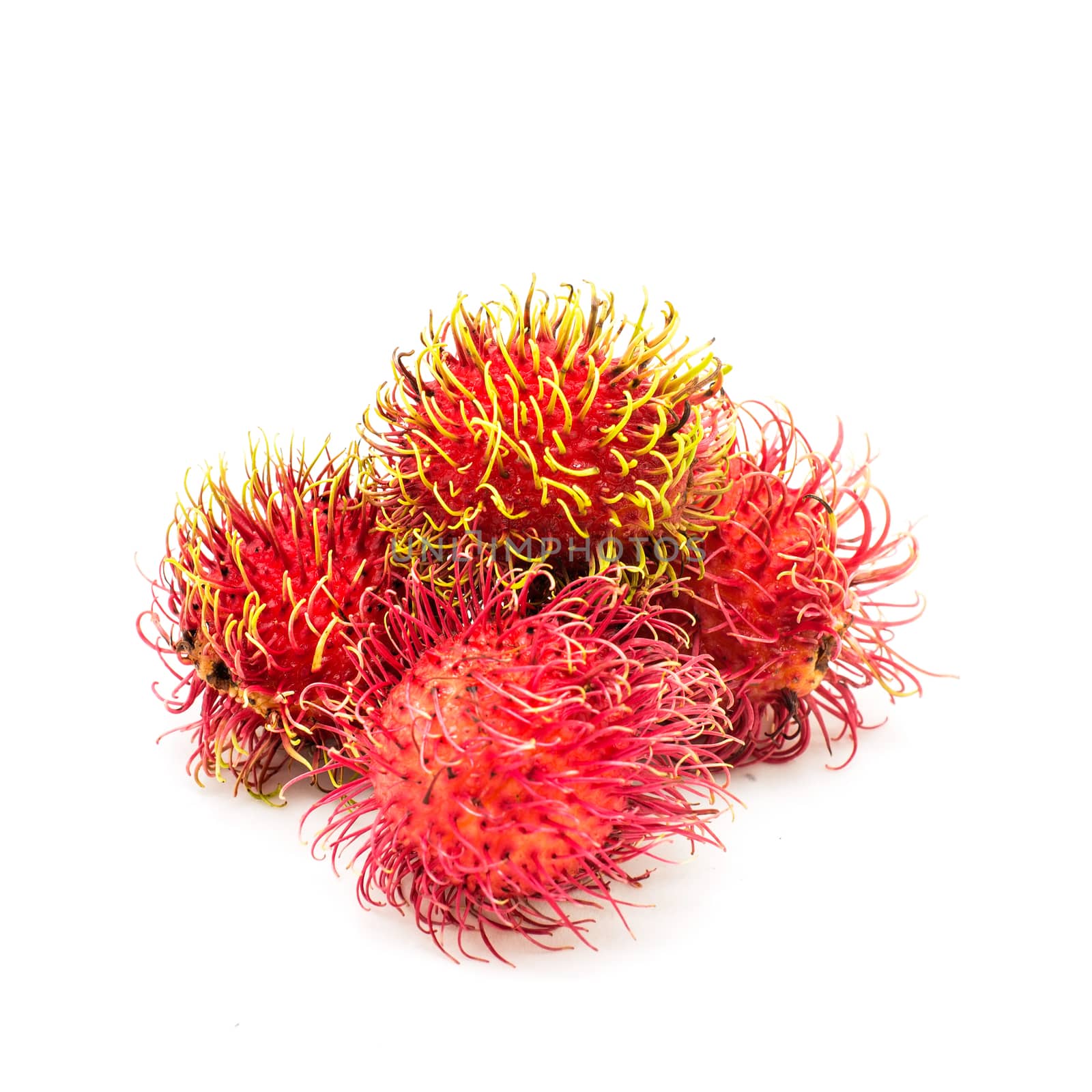 close up group of rambutan by Yuri2012