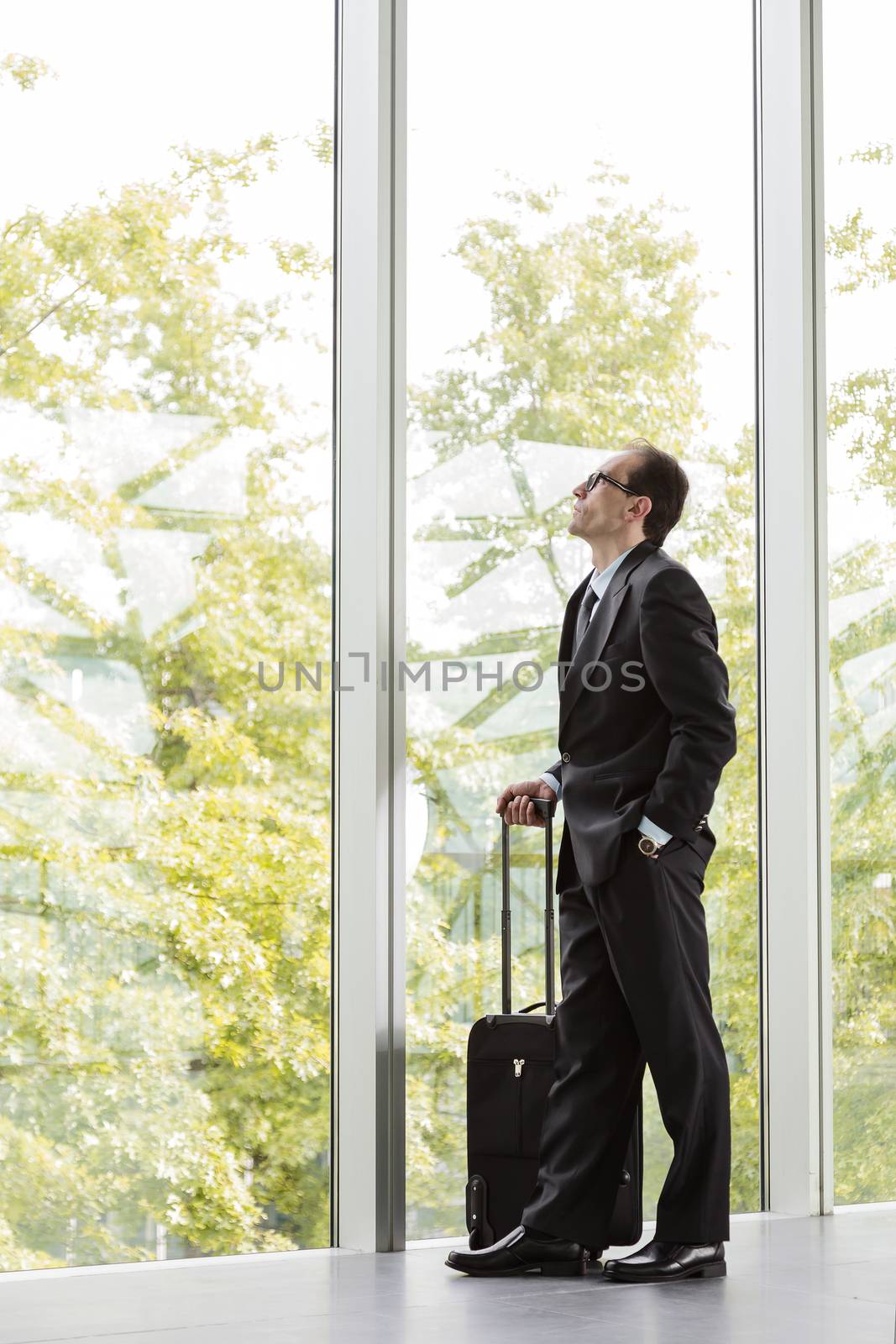 businessman in formal wear holding luggage 