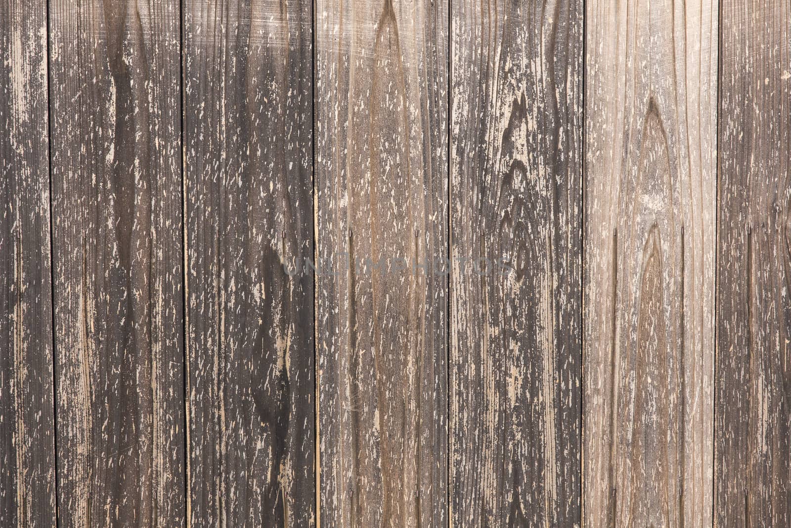 Old wood planks background and texture detail