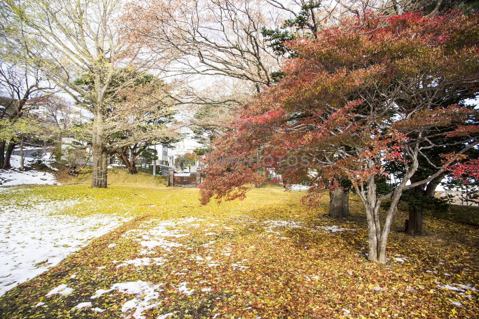 Hakodate autumn season with snow by 2nix