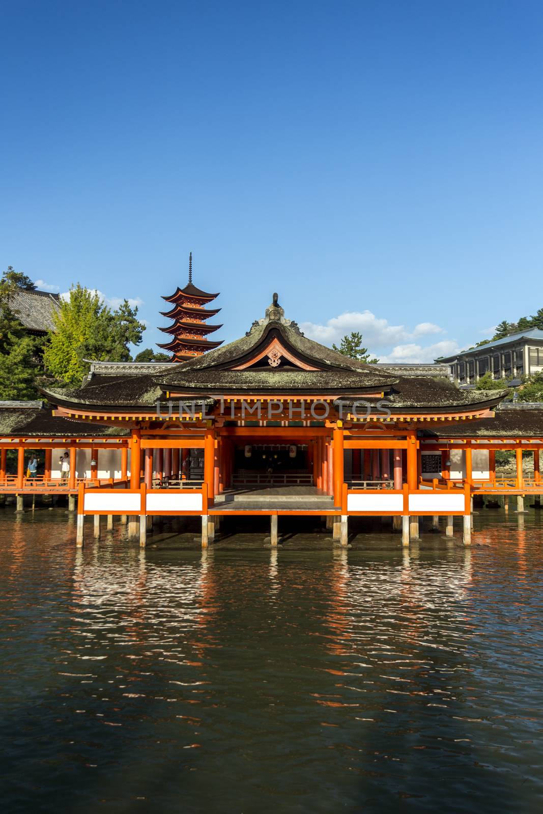 Itsukushima Shrine famous place at Miyajima. Hiroshima. Japan by 2nix