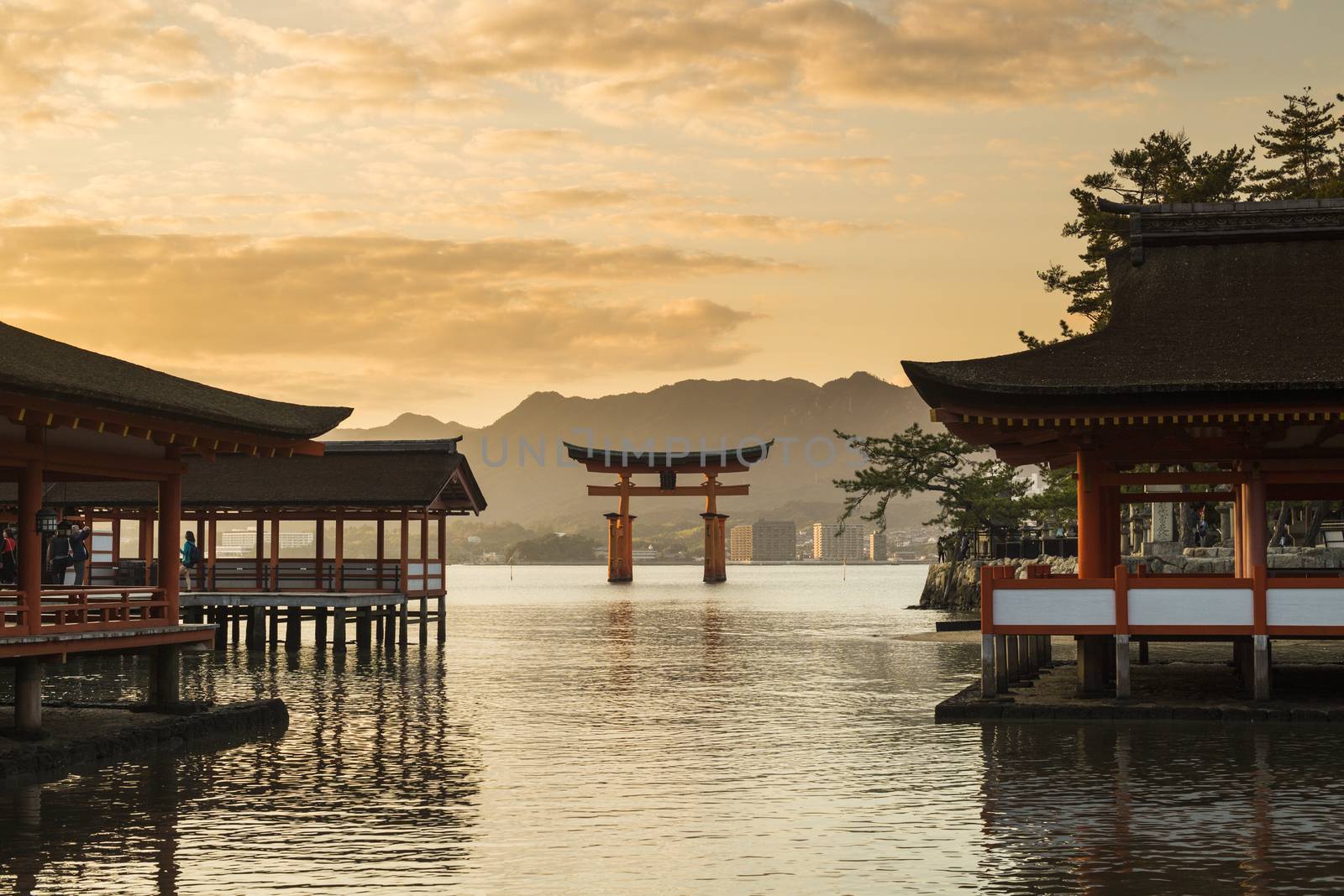 Itsukushima Shrine famous place at Miyajima. Hiroshima. Japan by 2nix