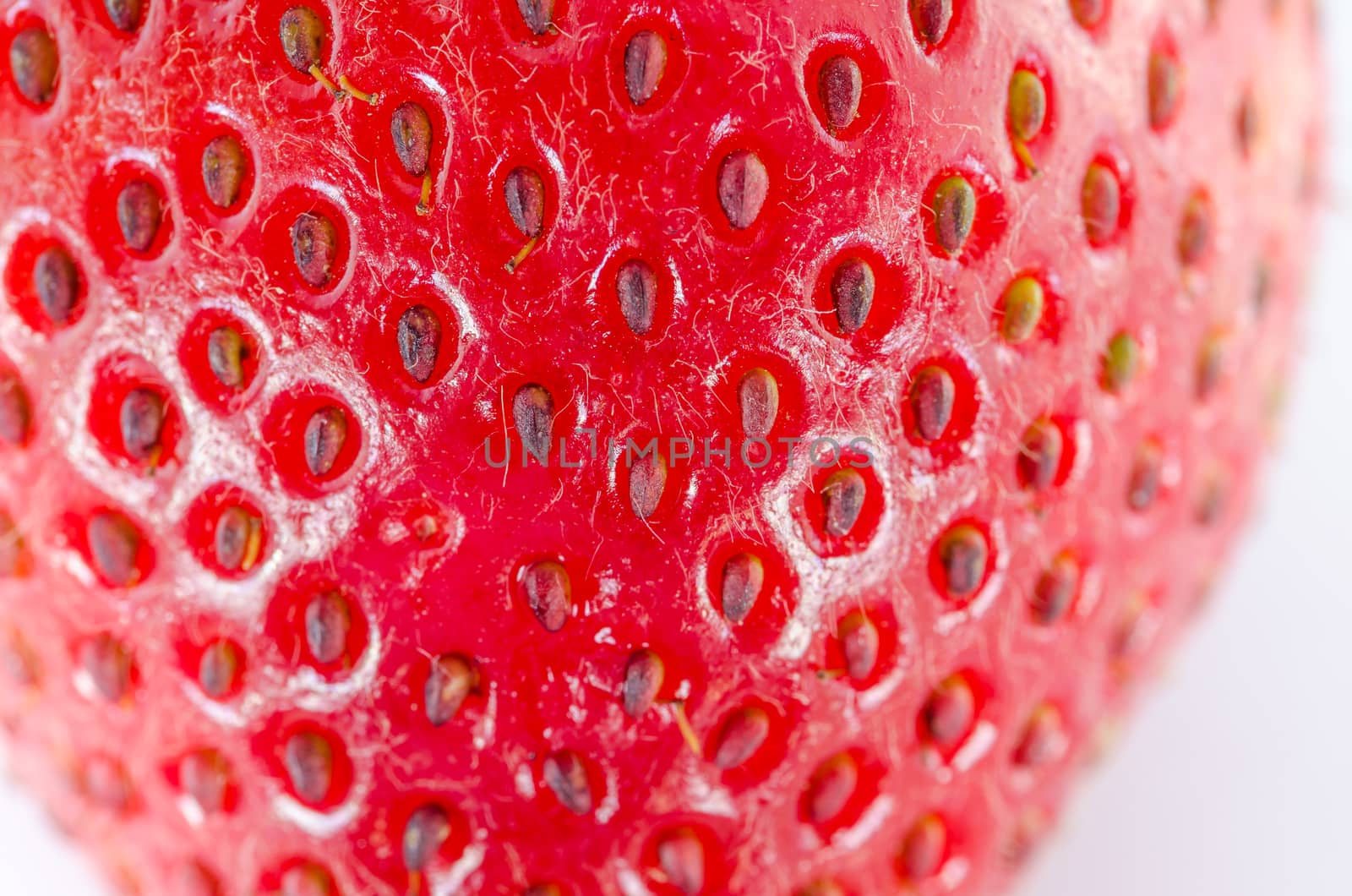 Organic Strawberry fruits  by sweetcrisis