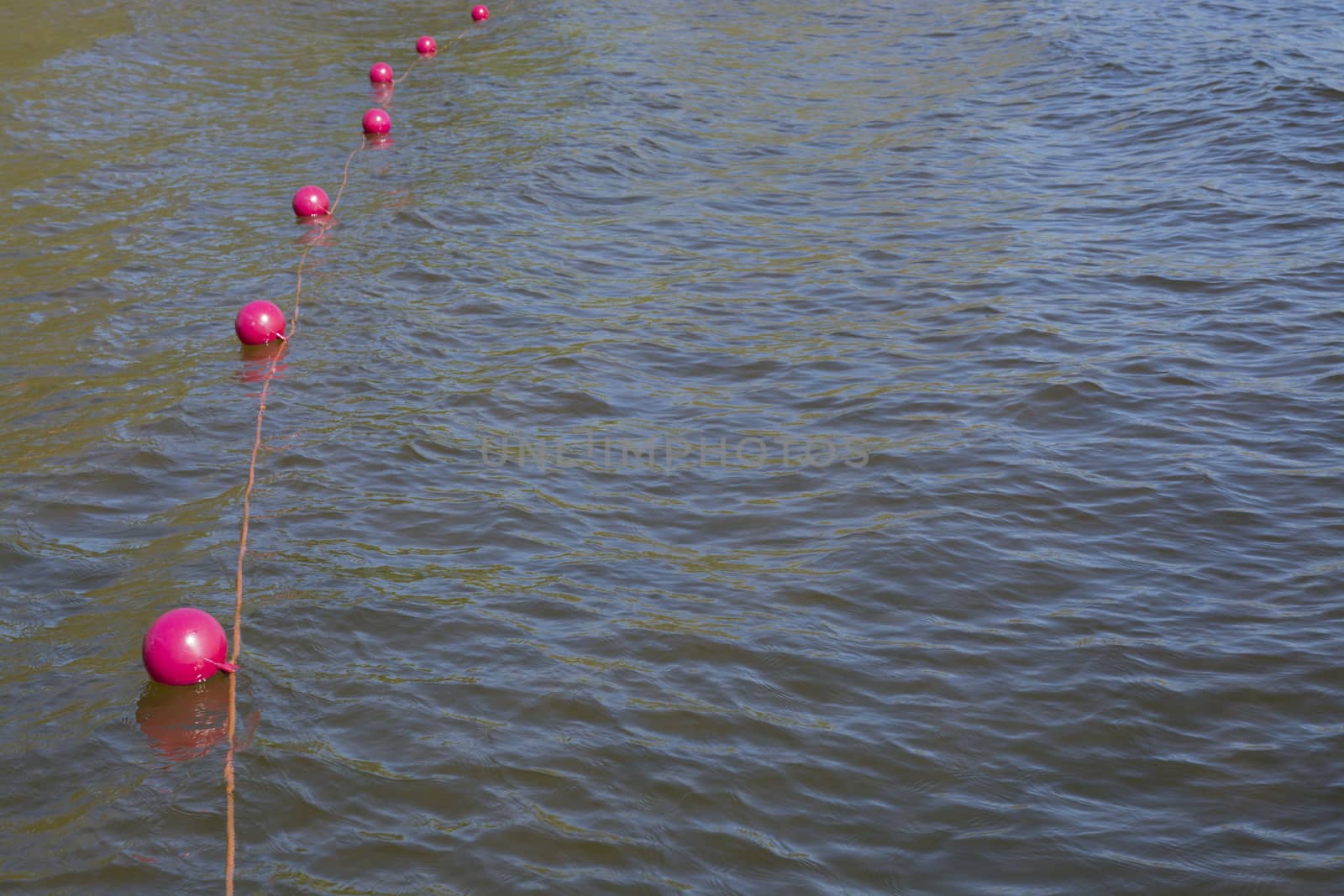 Pink buoys on lake water, Stockholm, Sweden in May.