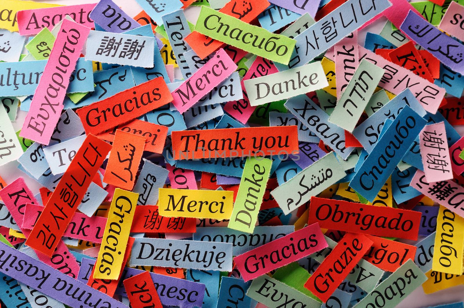 Thank You Word Cloud printed on colorful  paper different languages