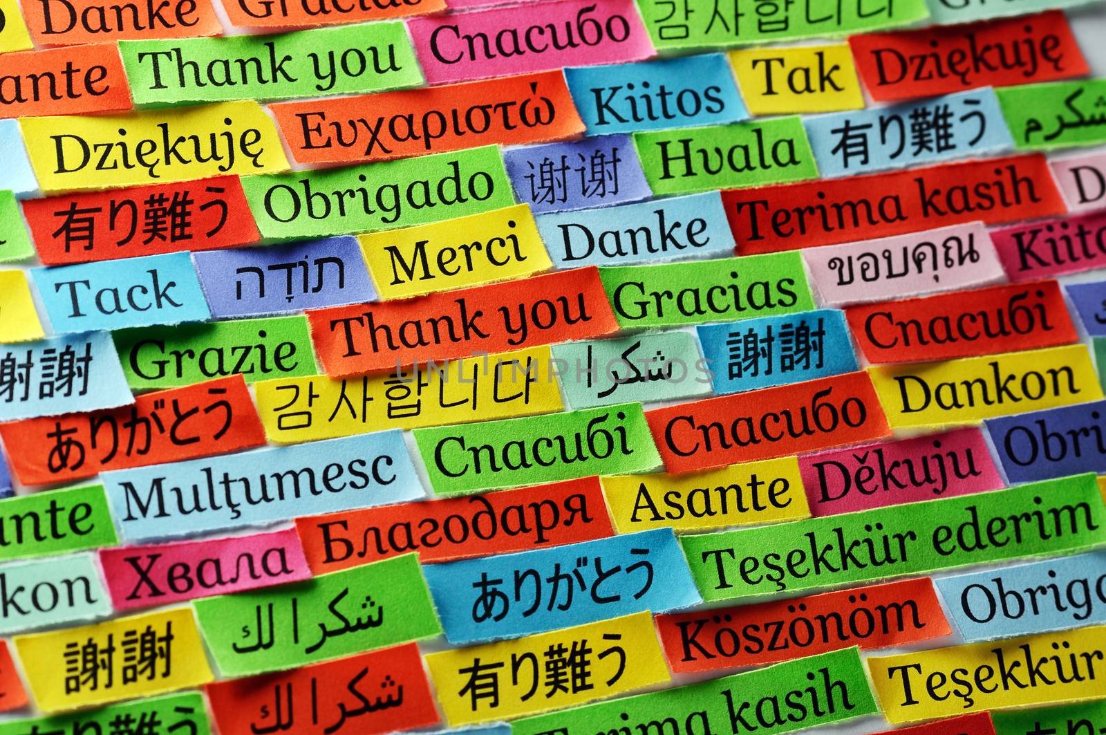 Thank You Word Cloud printed on colorful  paper different languages