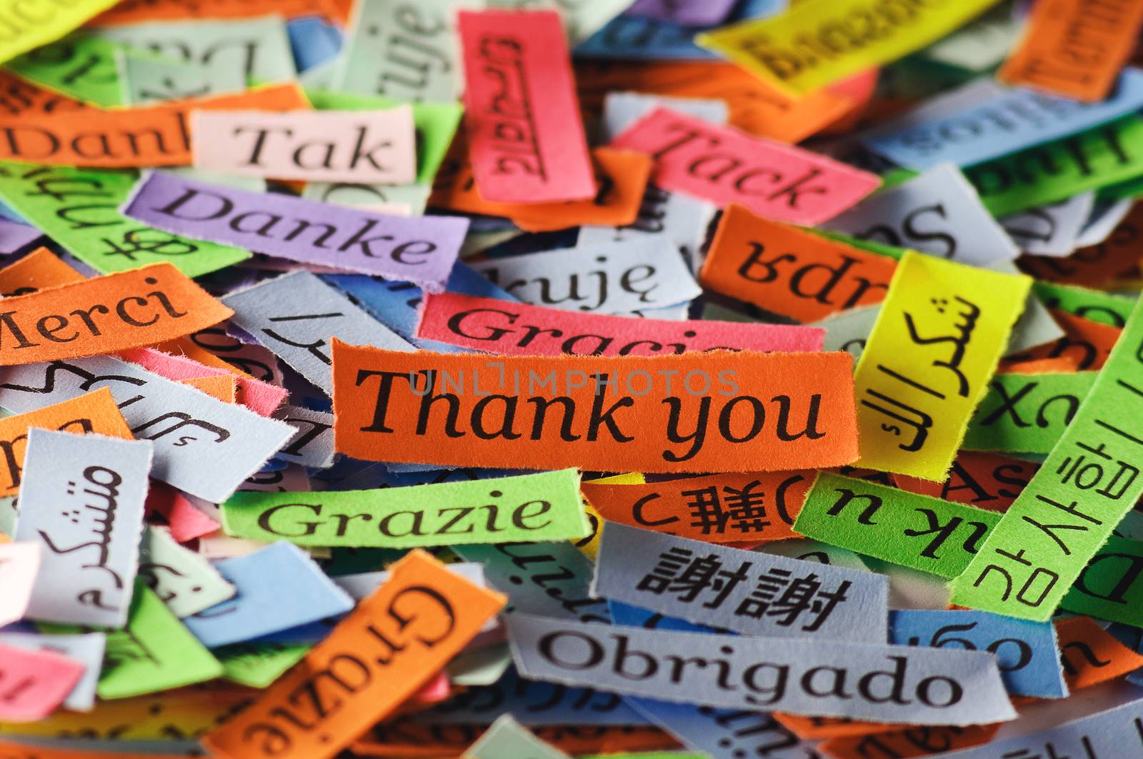 Thank You Word Cloud printed on colorful  paper different languages