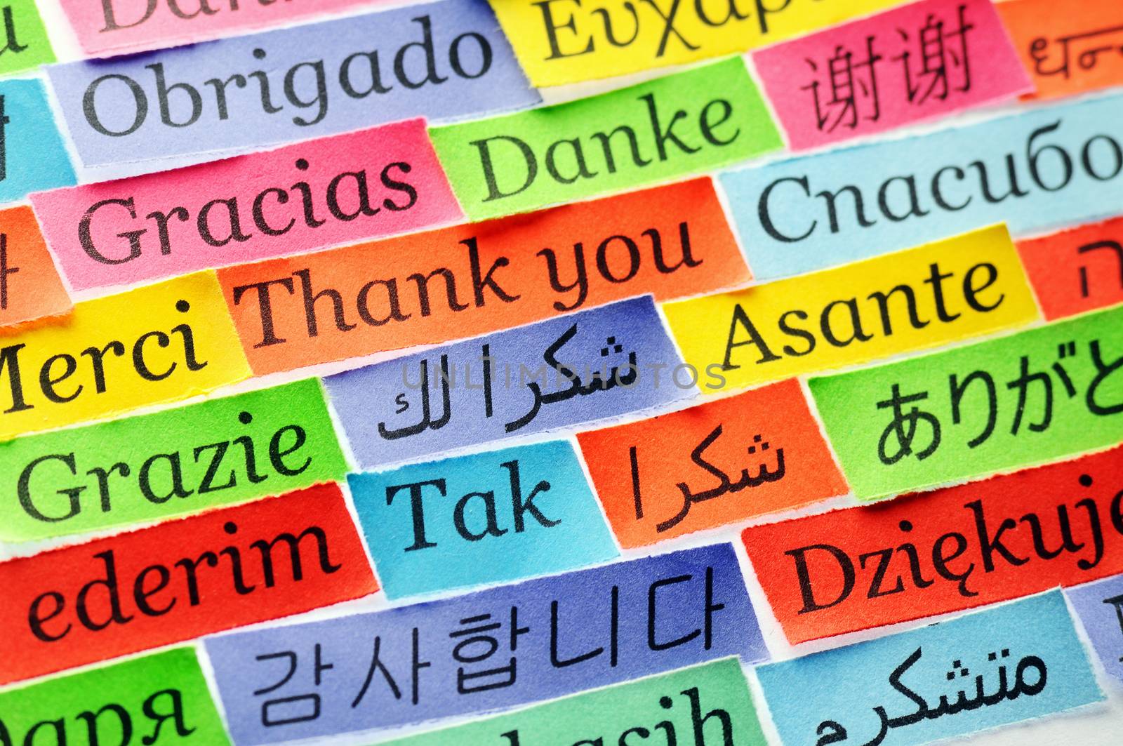 Thank You Word Cloud printed on colorful  paper different languages ,accent on arabic
