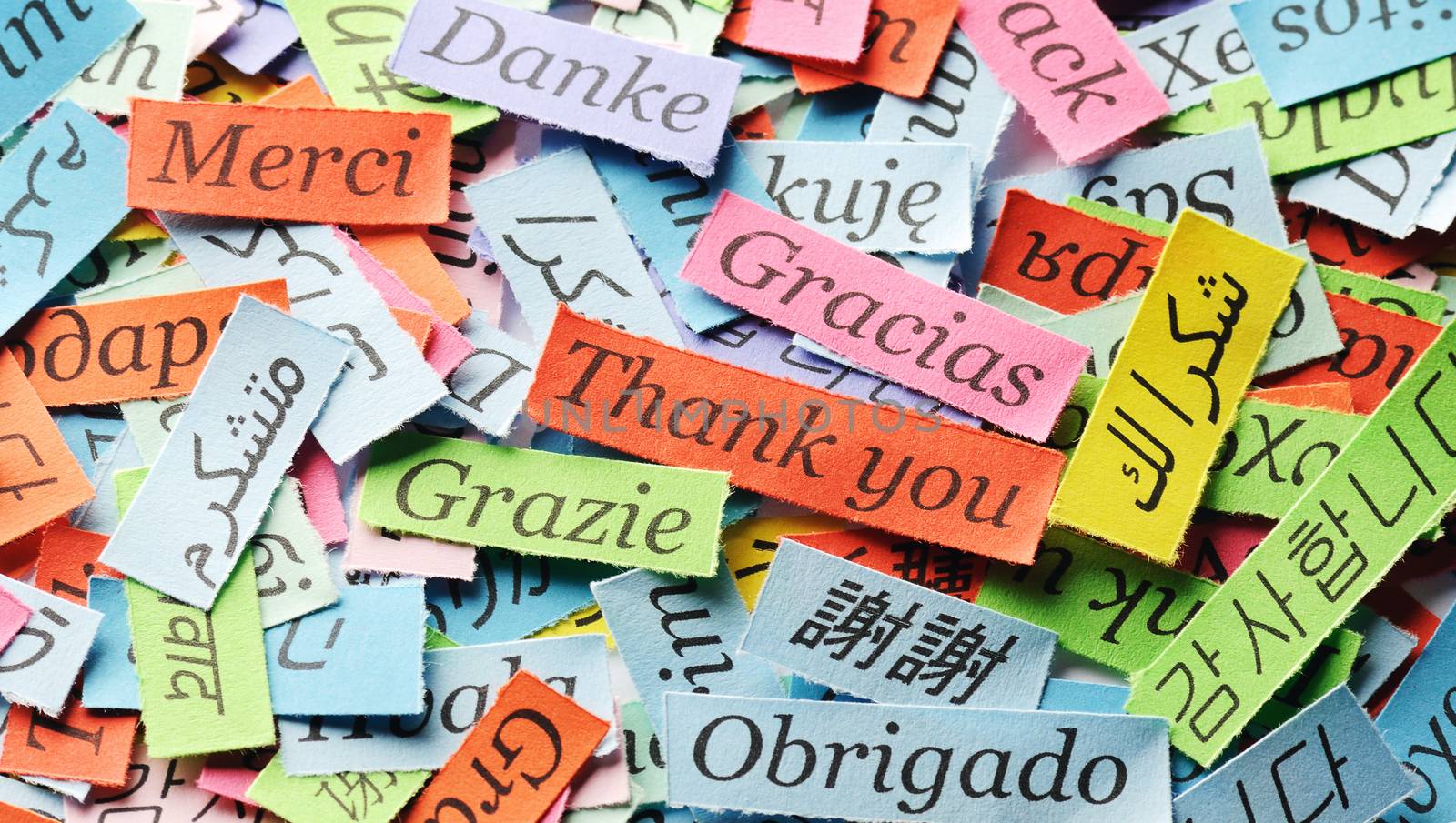 Thank You Word Cloud printed on colorful  paper different languages