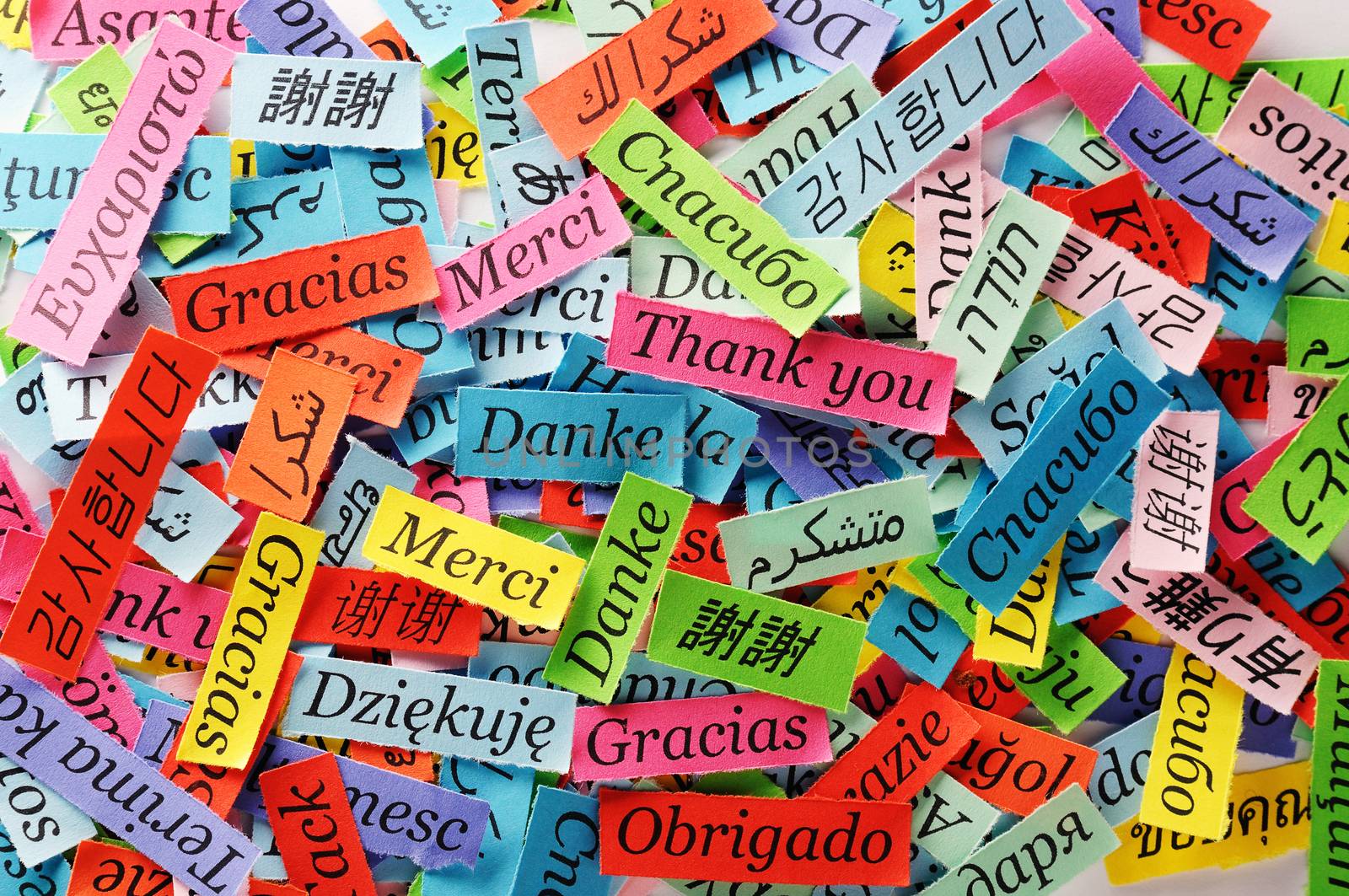 Thank You Word Cloud printed on colorful  paper different languages