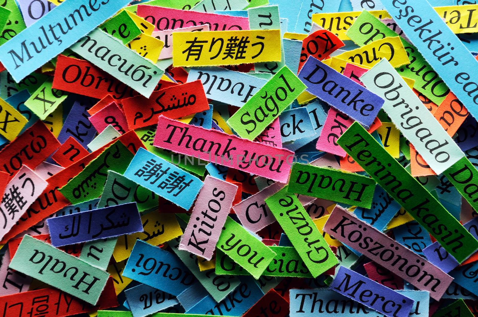 Thank You Word Cloud printed on colorful  paper different languages