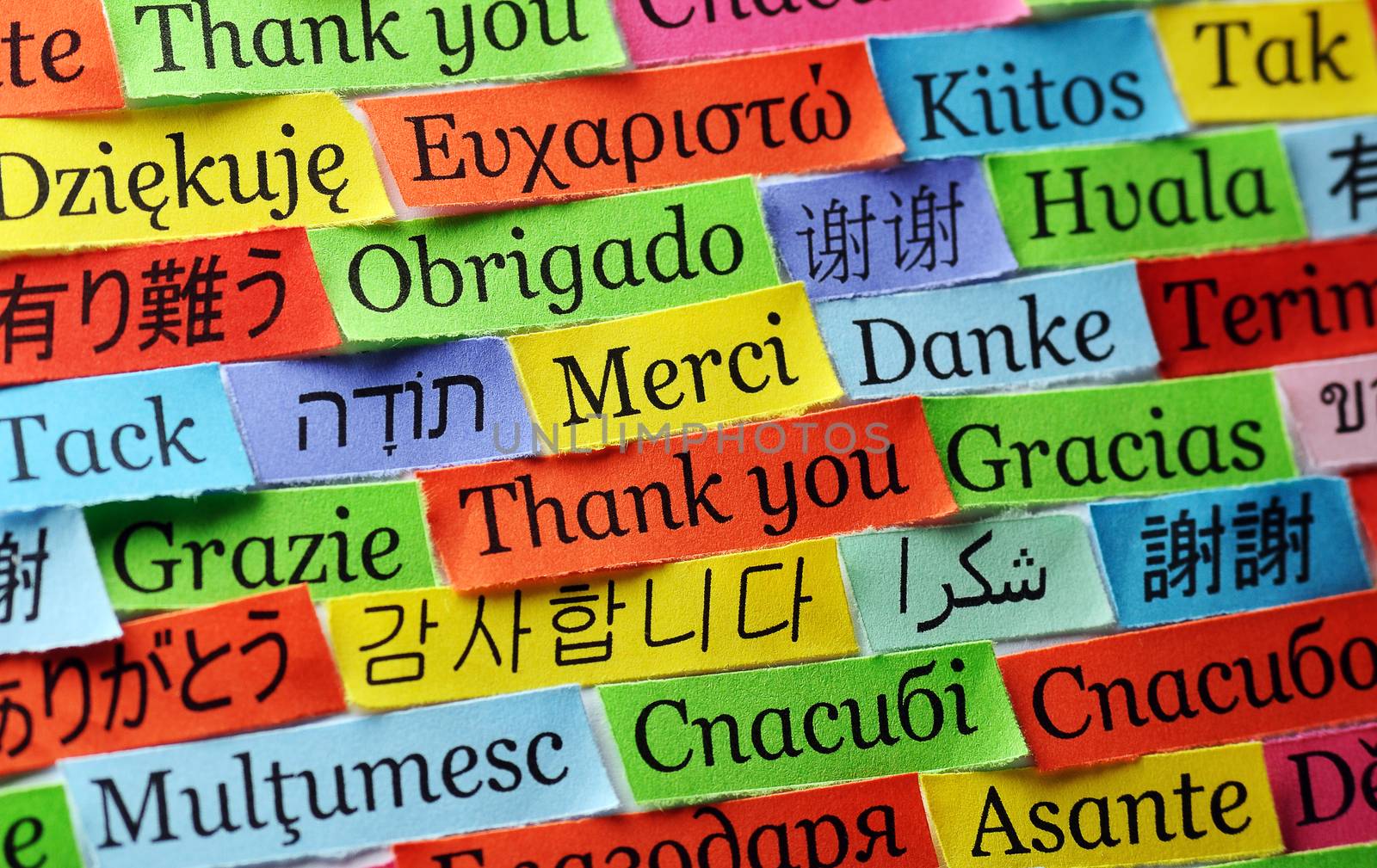 Thank You Word Cloud printed on colorful  paper different languages