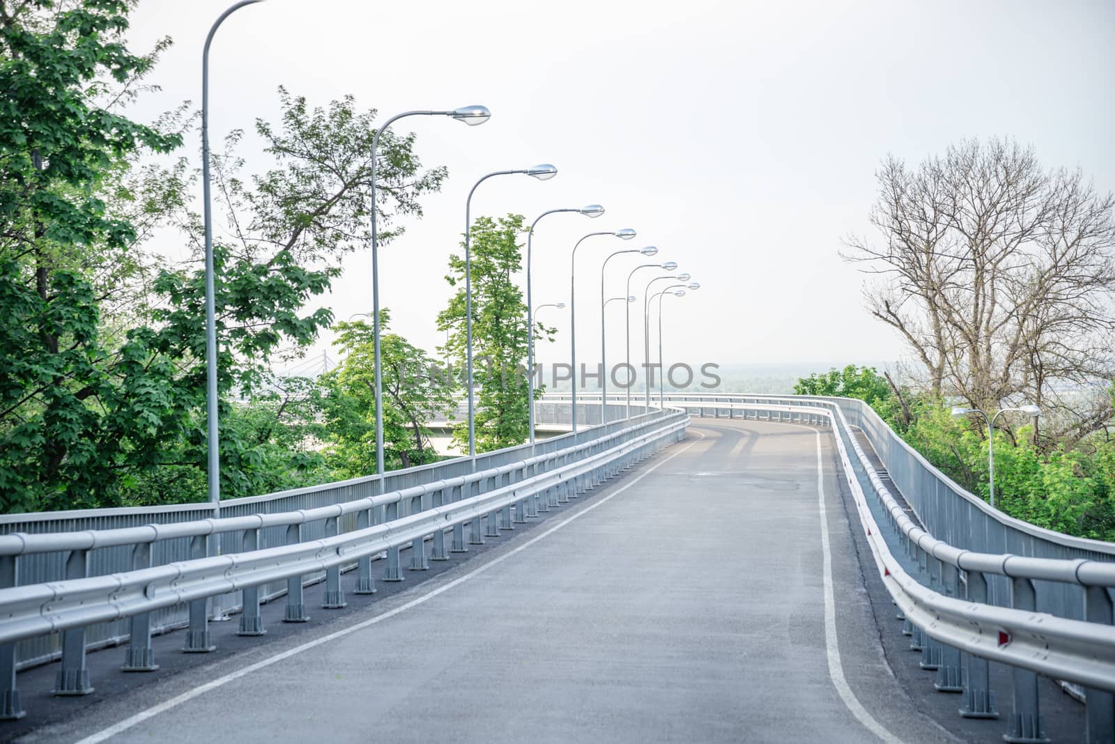 Asphalt road with green trees and sky