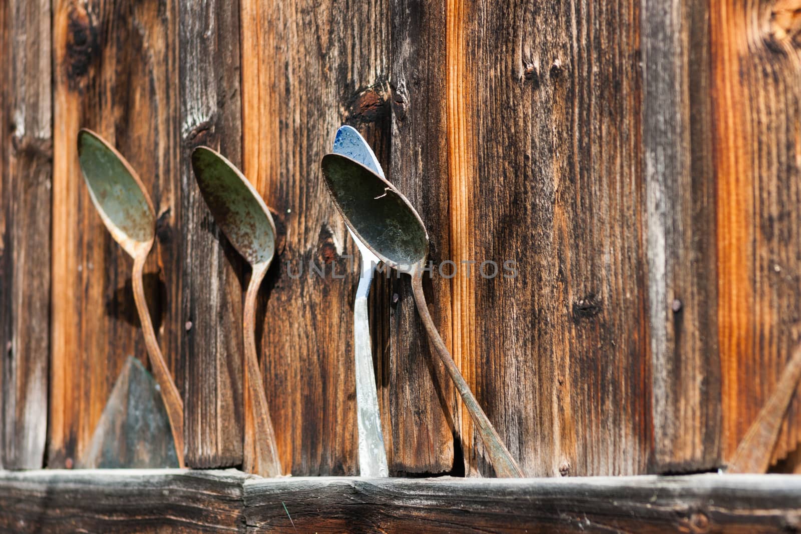 old retro rusted spoons on rustic wooden wall
