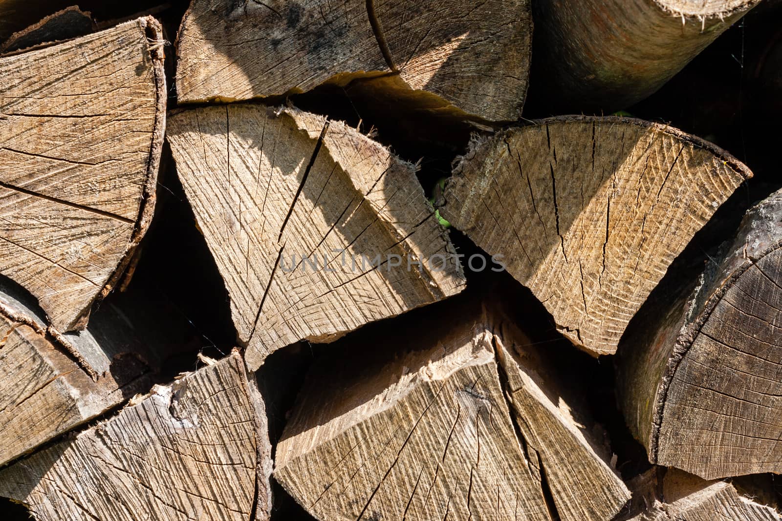 wood by furo_felix