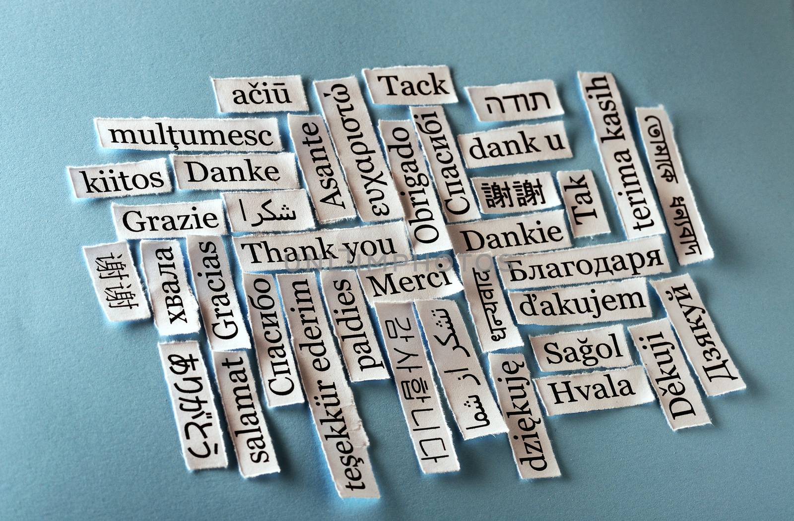 Thank You Word Cloud  printed on  paper on blue font