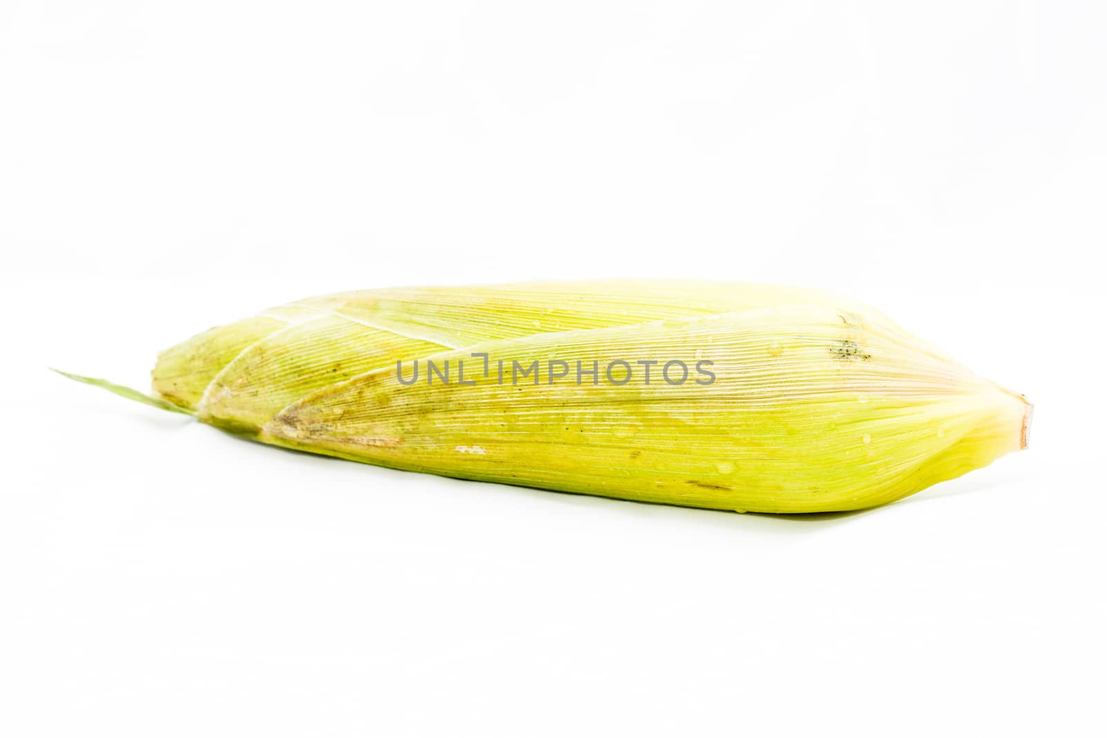 fresh corn fruits with green leaves on white background