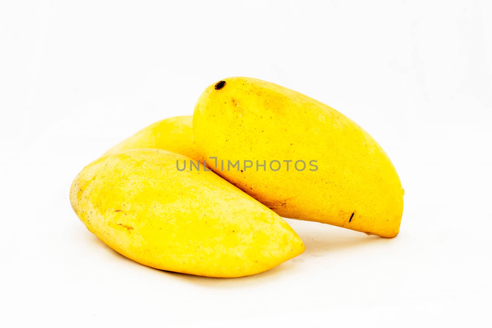 Yellow mango on a white background