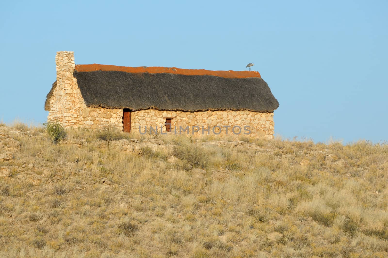 Historical settler home at Auchterlonie in the Kgalagadi Transfrontier Park with Black-headed heron on roof.
