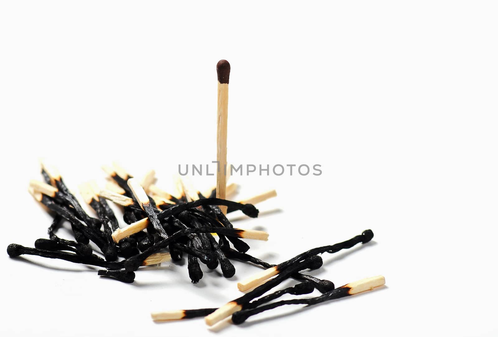 Many the spoiled matches on a white isolated background. One match the whole. 