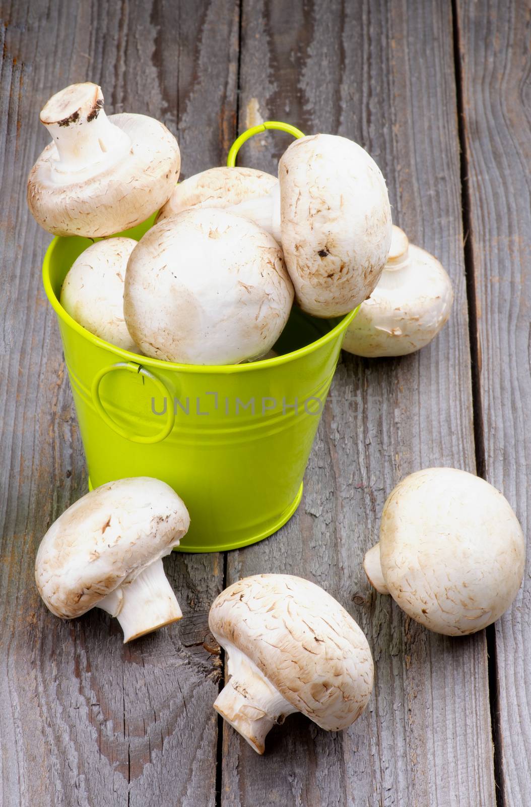 Big Raw Champignons in Green Bucket isolated on Rustic Wooden background