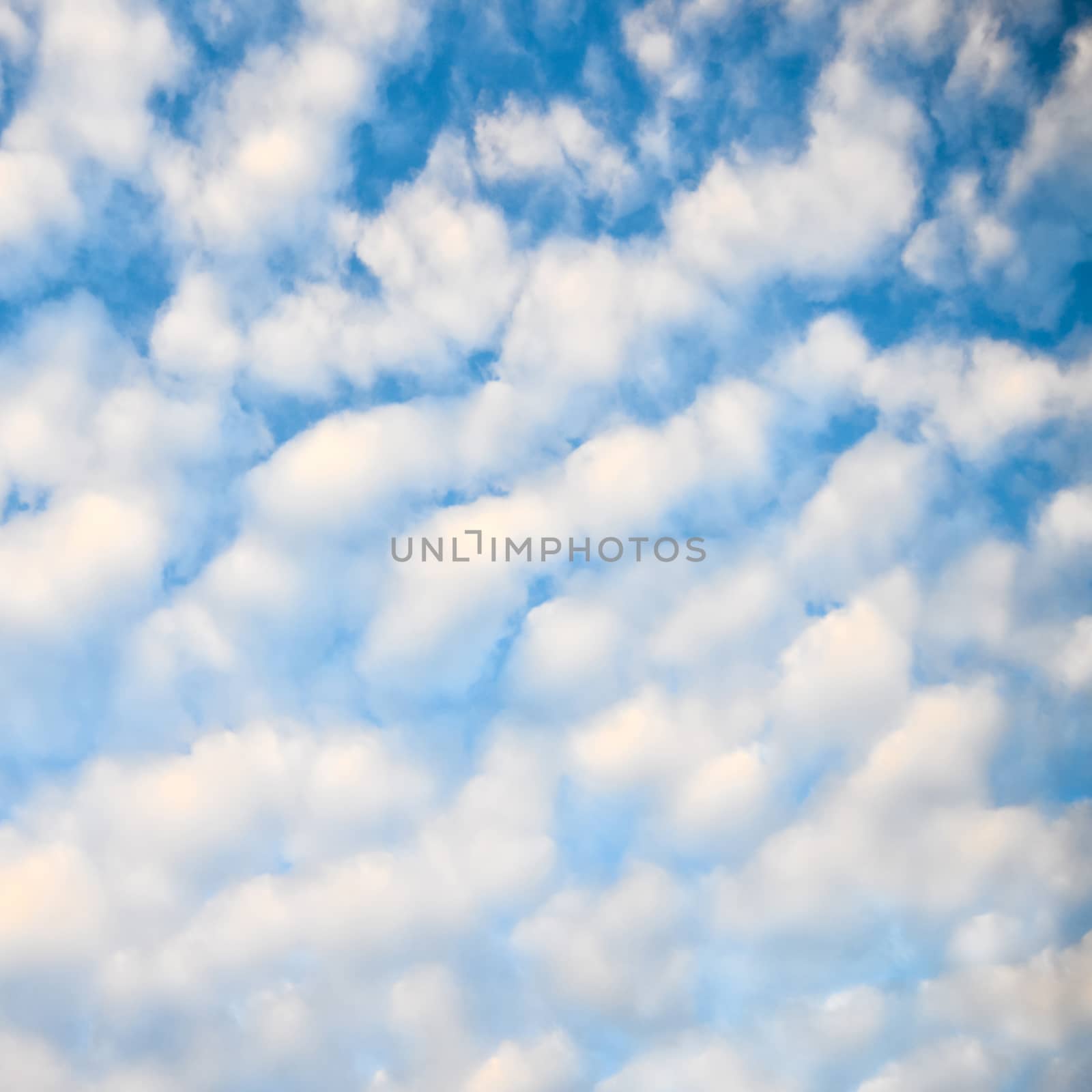 blue sky and white fluffy clouds  by opasstudio