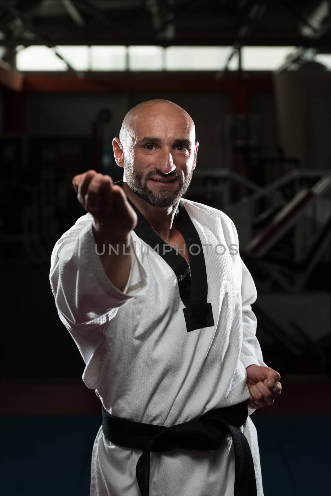 Taekwondo Fighter Expert With Fight Stance by JalePhoto