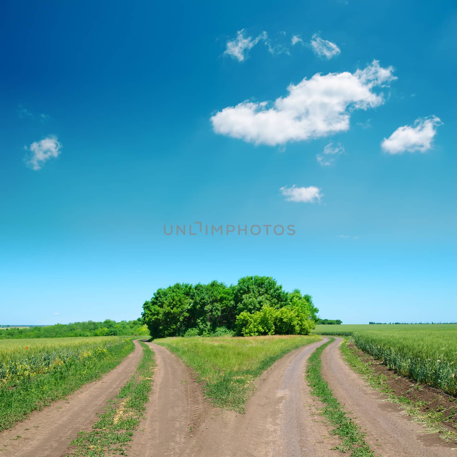 crossing of two rural road and deep blue sky by mycola