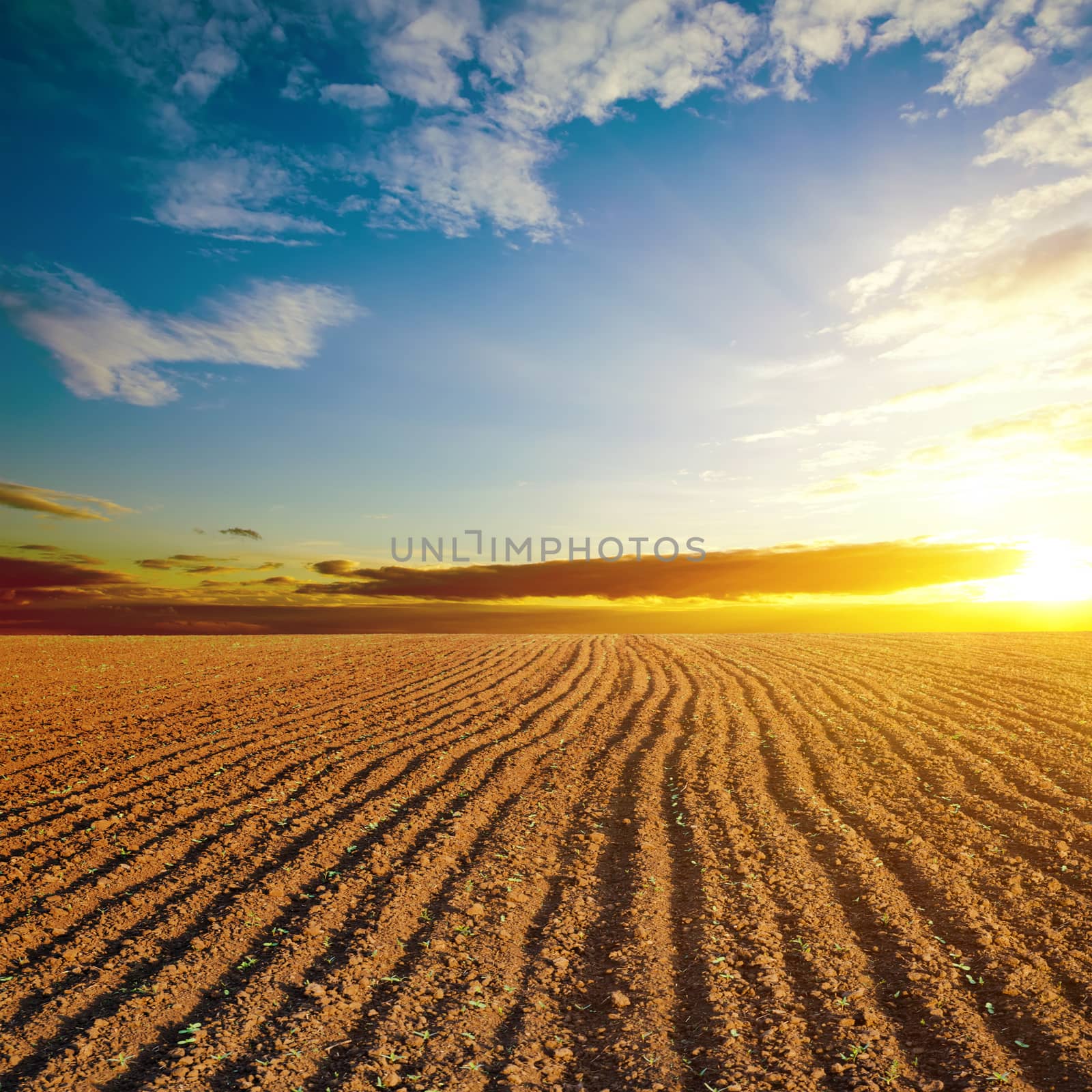cloudy sunset and plowed field by mycola