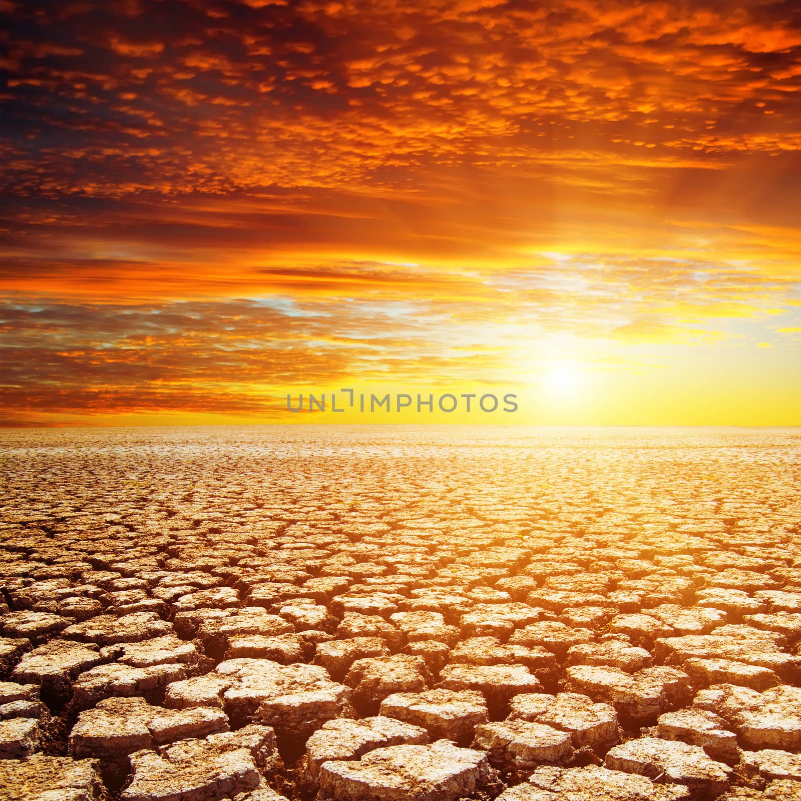 desert and red sunset