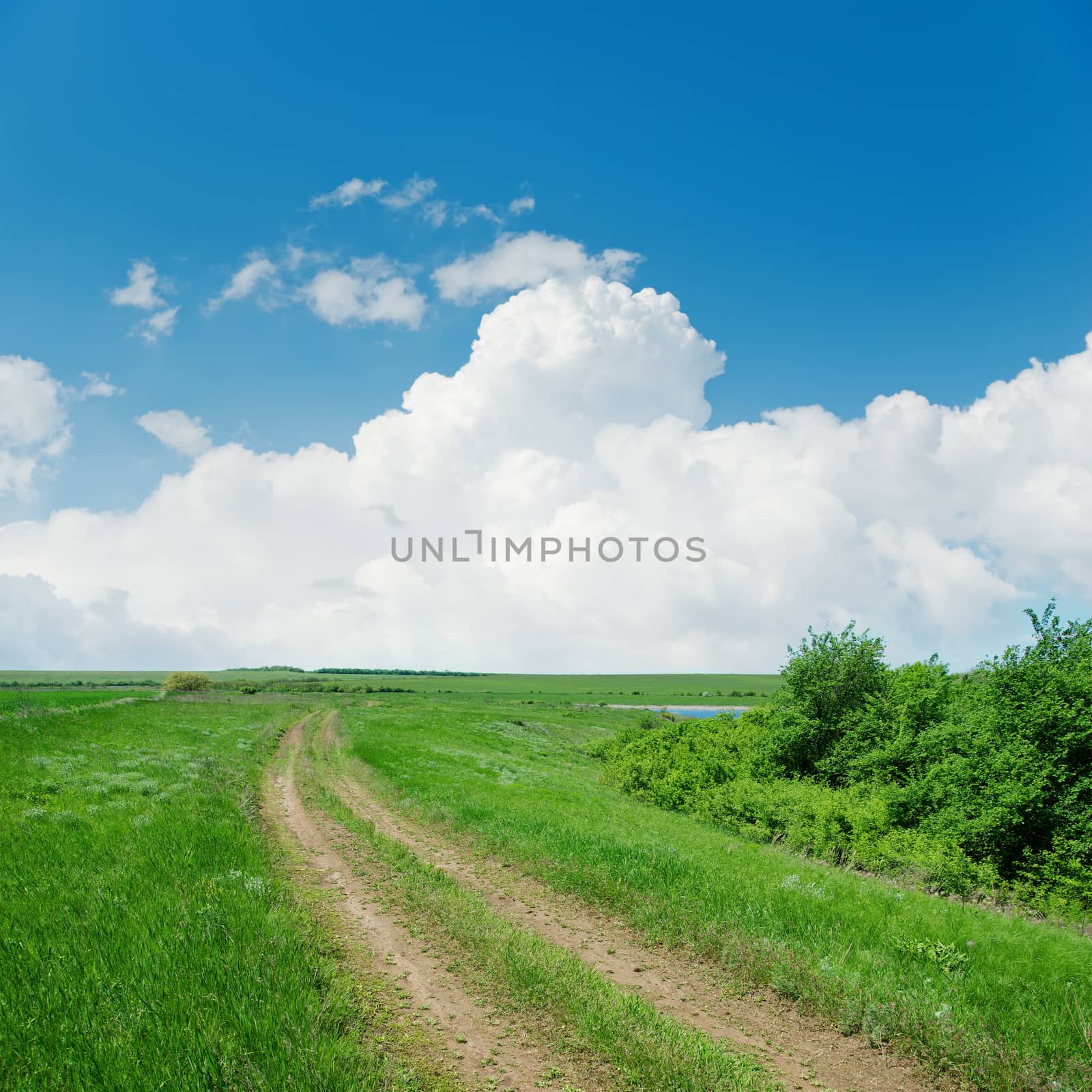dirty road in green landscape and clouds over it by mycola