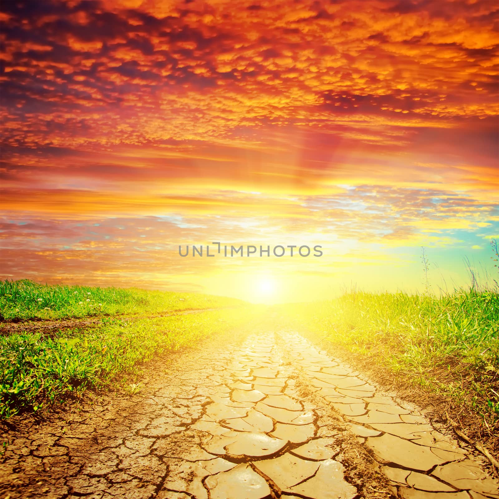 red sunset over drought road by mycola